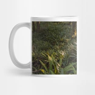 Forest Floor Covered with Ferns Mug